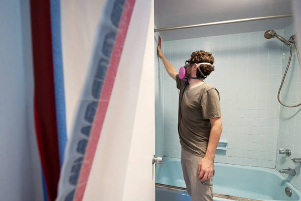 Best Mold Odor Removal Services  in Pelican Rapids, MN