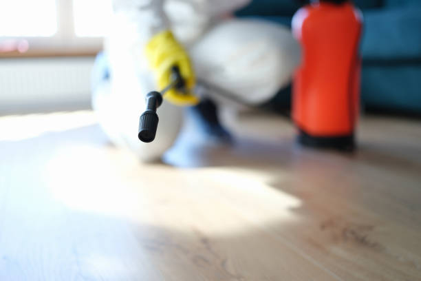 Best Indoor Air Quality Assessment  in Pelican Rapids, MN