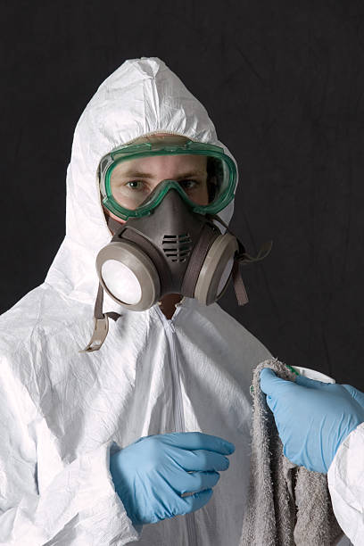 Mold Remediation for Vacation Homes in Pelican Rapids, MN